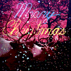 Gambar DP BBM Bergerak Ucapan Selamat Natal & Tahun Baru 
