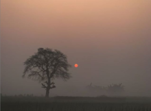 kata-kata senja