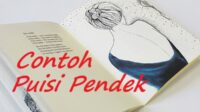 contoh puisi pendek